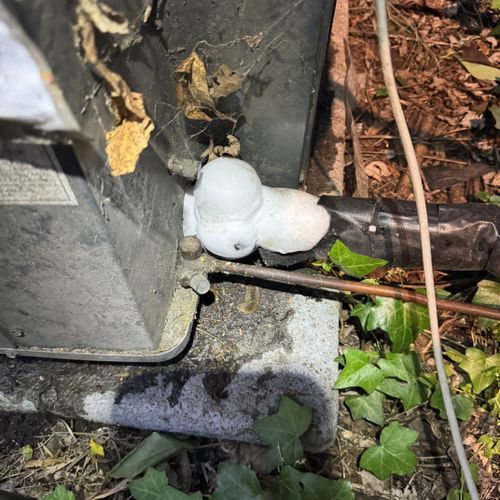 Kabul Asia Llc Portsmouth, VA Thumbtack