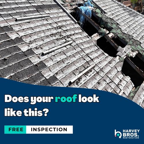Does Your Roof Look Like This? 