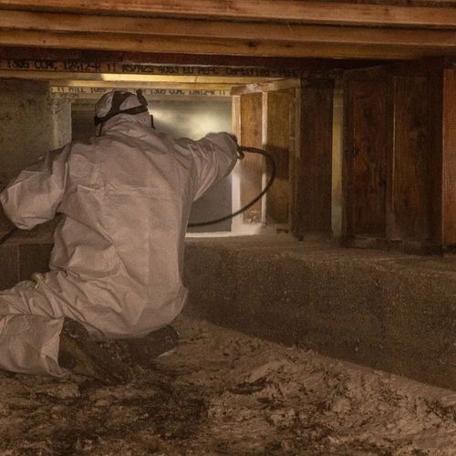 I recently had a mold problem in my crawl space an
