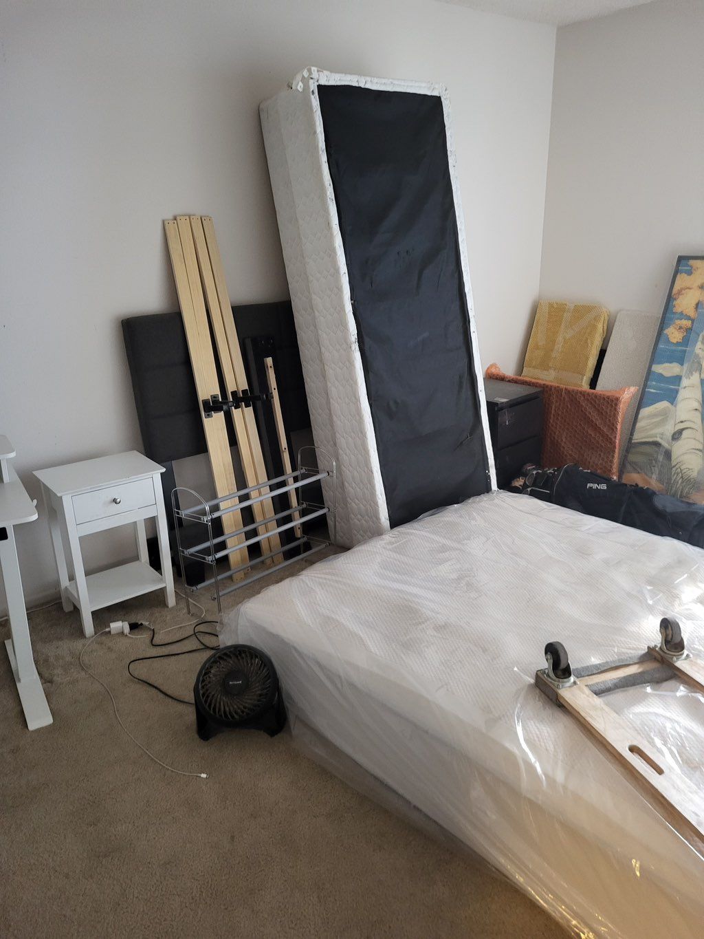 Projects and media