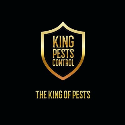 Avatar for King Pests Control