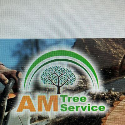 Avatar for AM tree service
