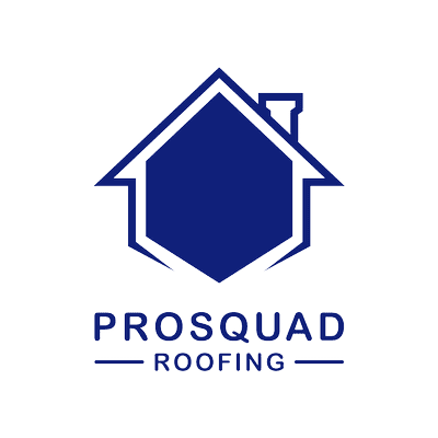 Avatar for ProSquad Roofing