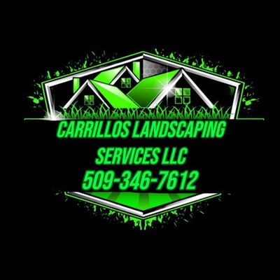 Avatar for carrillo'slandscaping services