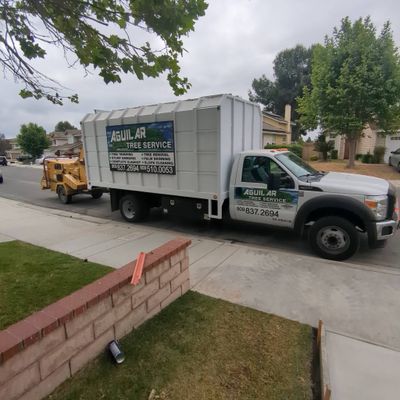 Avatar for Aguilar Tree Service