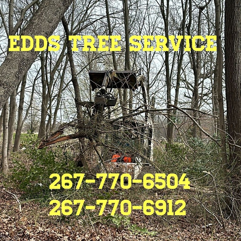 EDD's Tree Service, Inc.