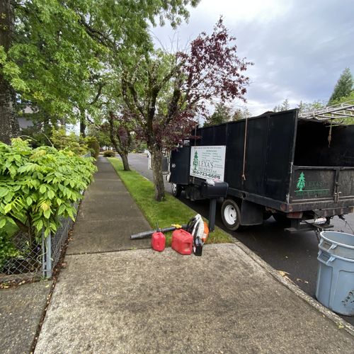 Tree Trimming and Removal