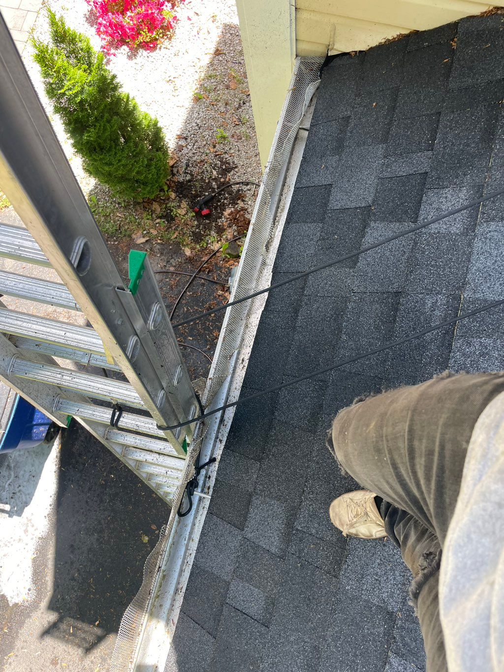 Customer photos