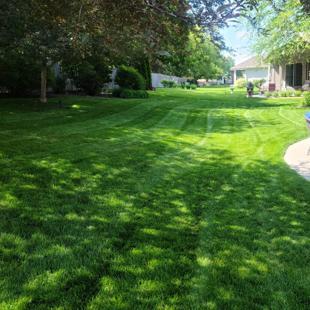 rolawn