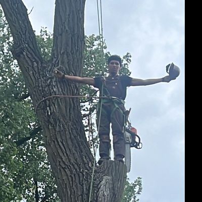 Avatar for Triple A Tree Service