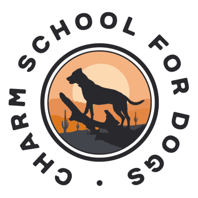 Avatar for Charm School for Dogs