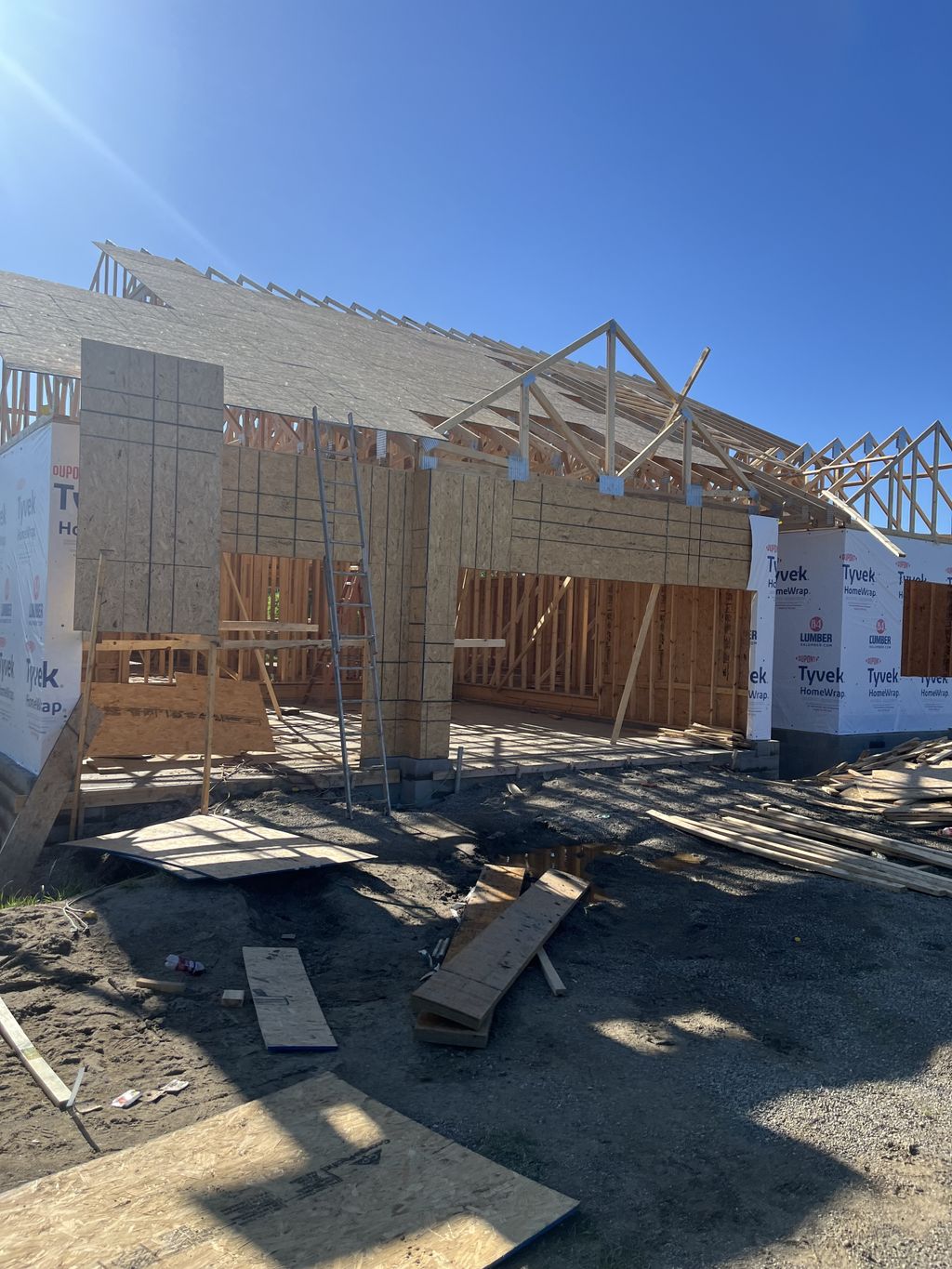 Projects and media