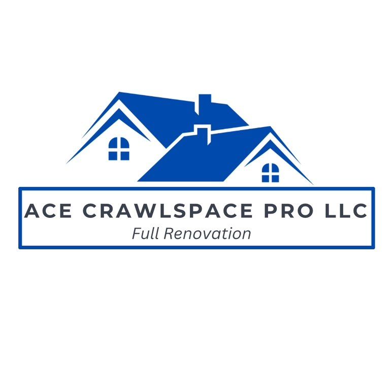 Ace Crawlspace Pro