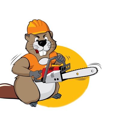 Avatar for Beavers tree services