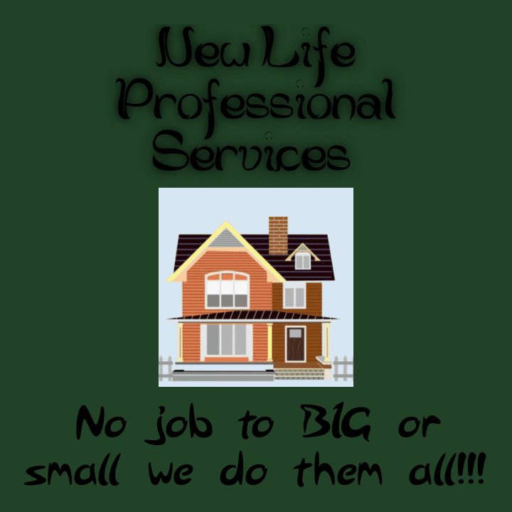 New Life Professional Services