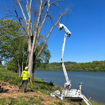 Avatar for Dogwood Arboriculture