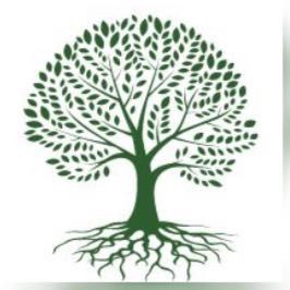 R&T Landscape LLC