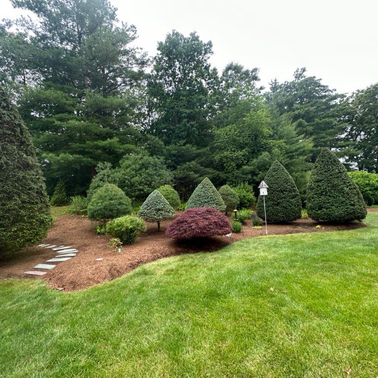 Vando lawn care Landscaping