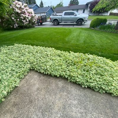 Avatar for A&A Landscaping and Concrete LLC
