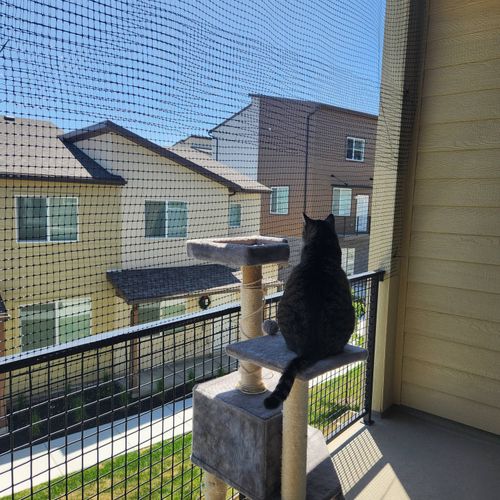 Charlie helped me with a simple project of fencing