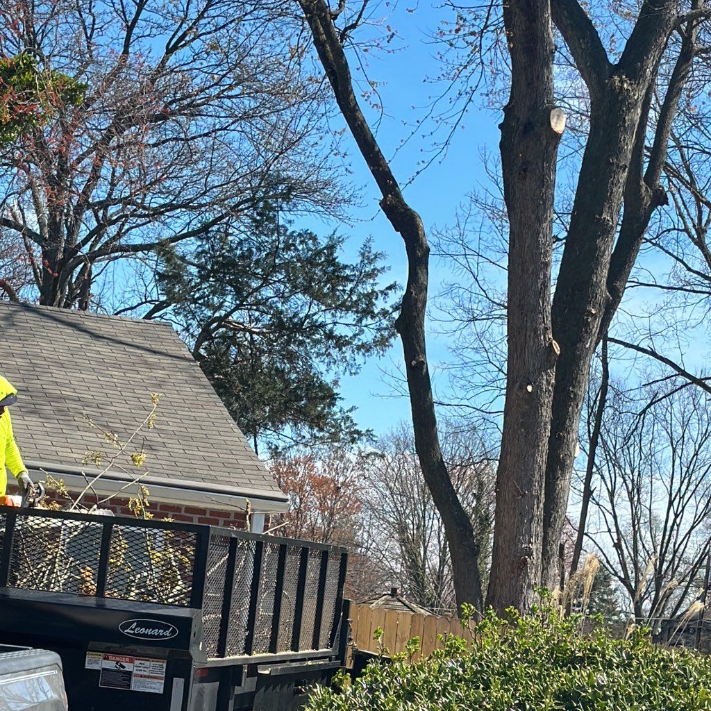 M.C.C TREE SERVICE