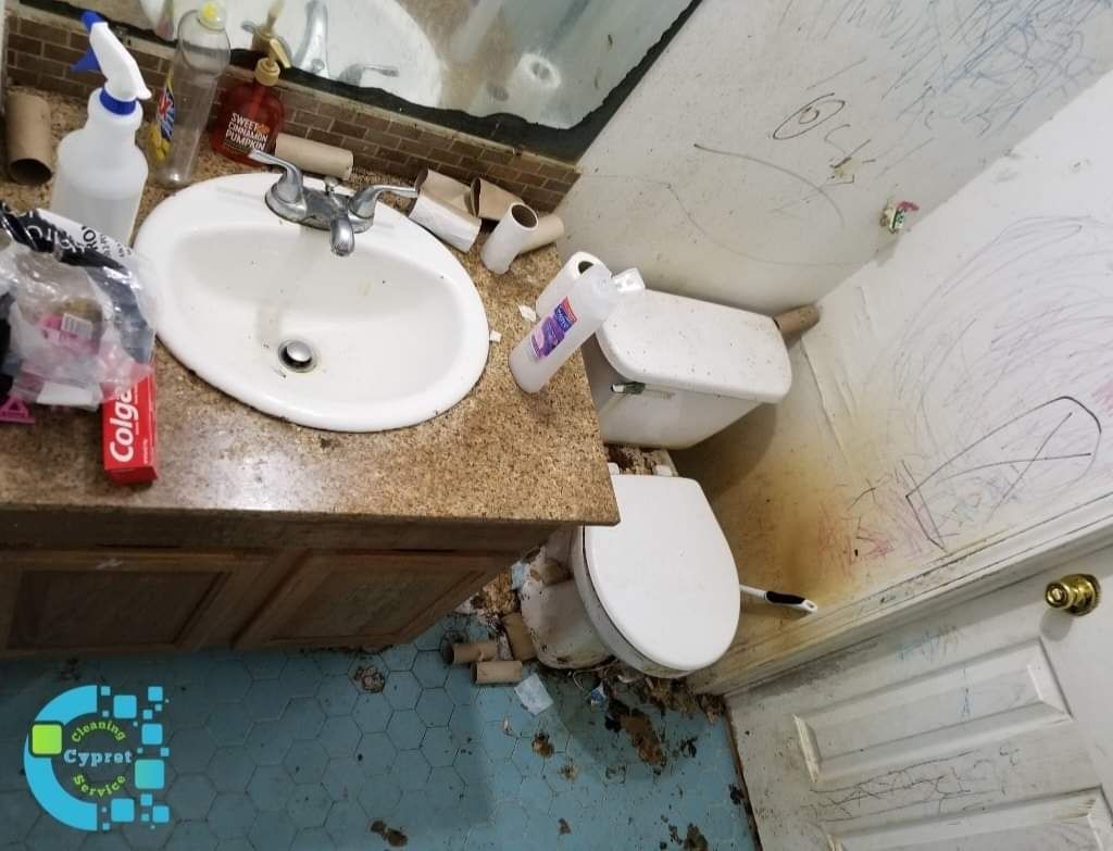 Before ( Deep Clean )