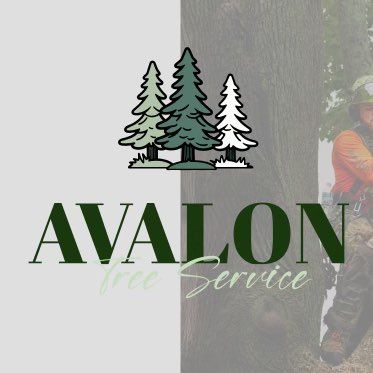 Avatar for Avalon Tree Service