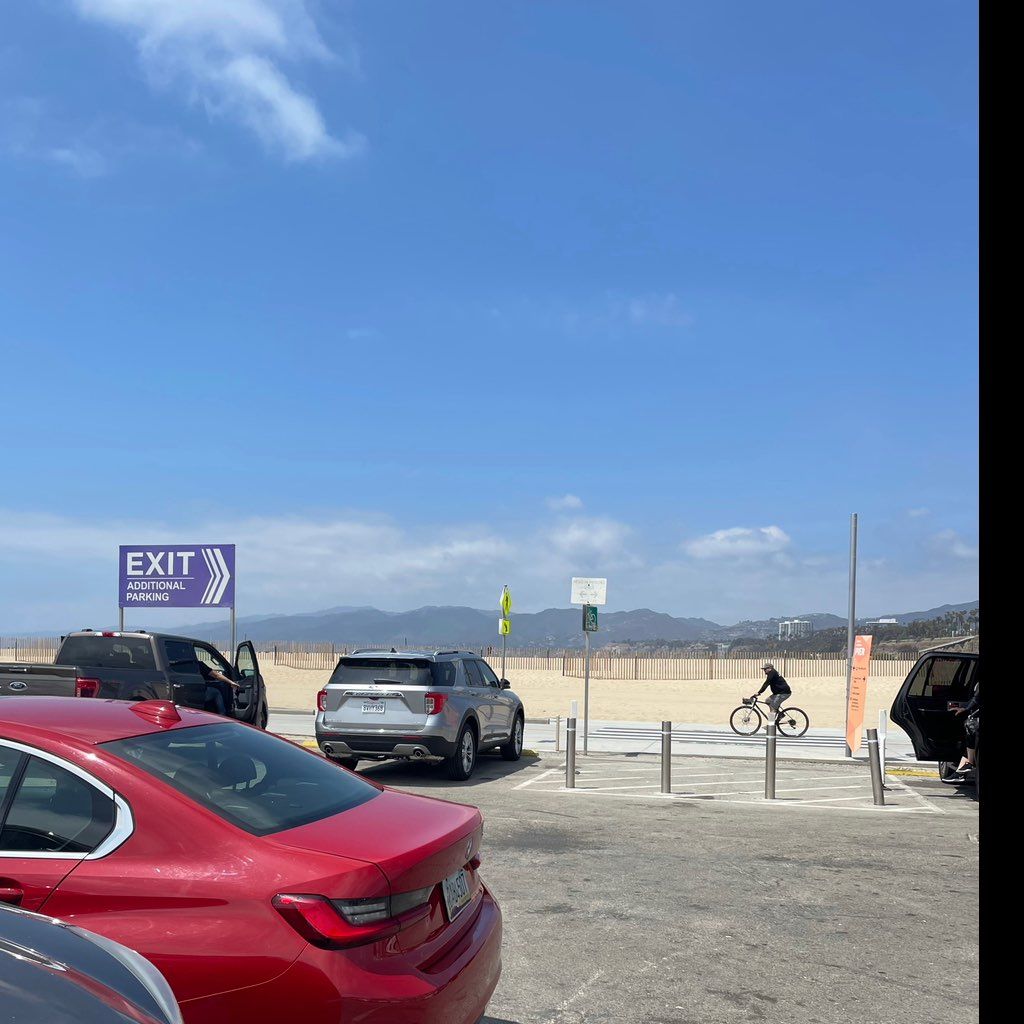 Beach Cleaners