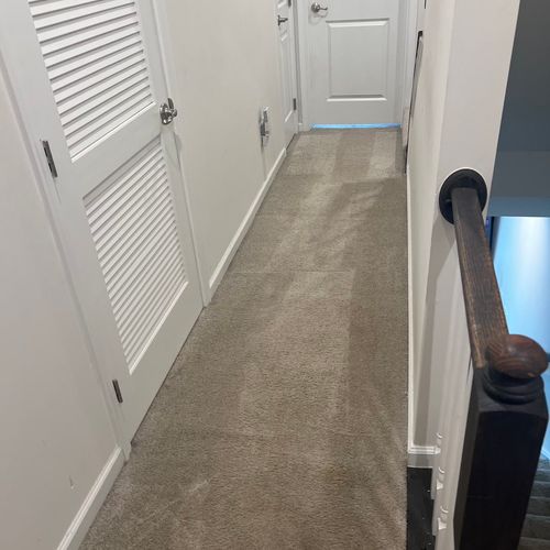 Carpet Cleaning