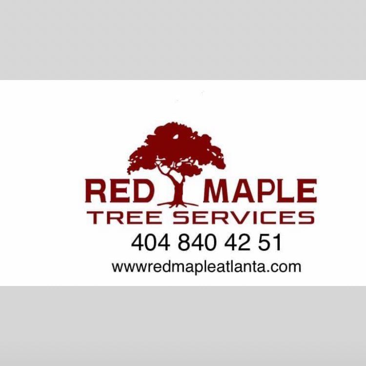 Red Maple tree services
