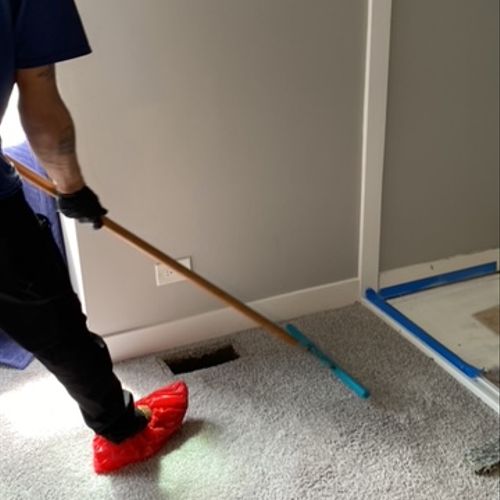 Raking the carpet prepping for cleaning