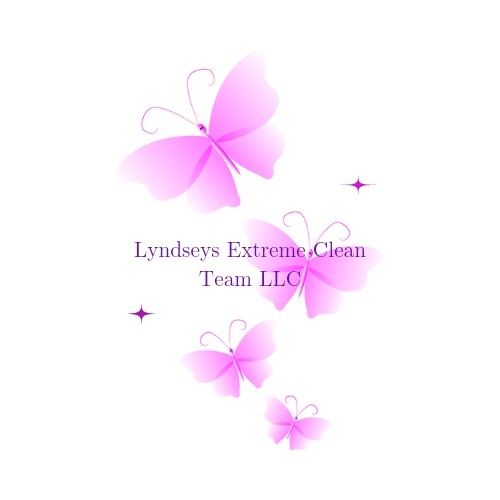 Lyndsey extreme clean team llc