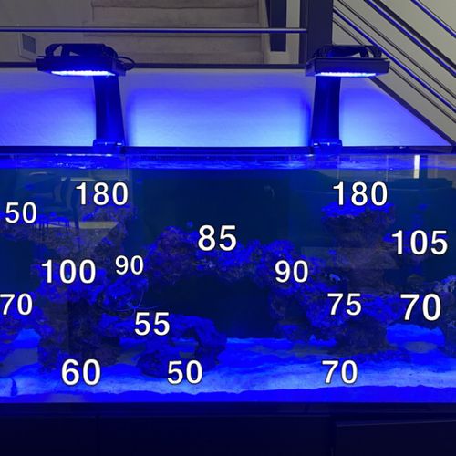 Aquarium Services