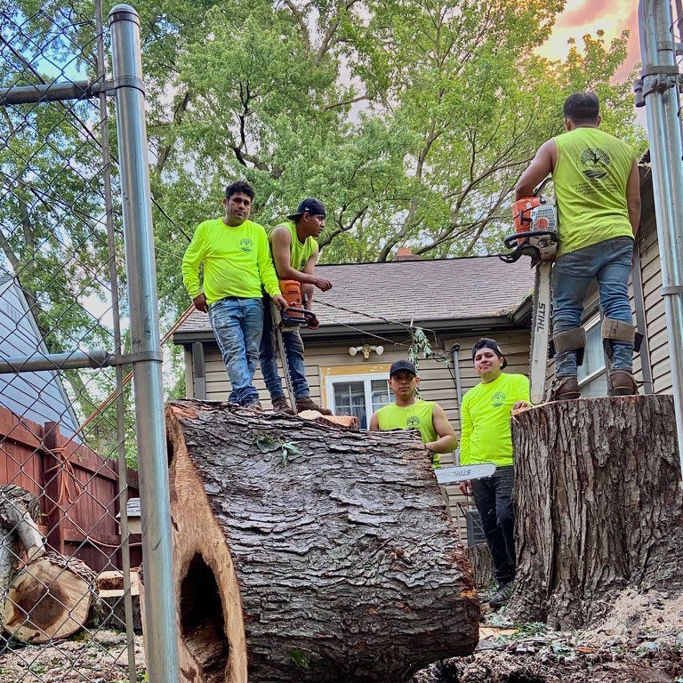 Sandoval Tree Trimming & Removal LLC