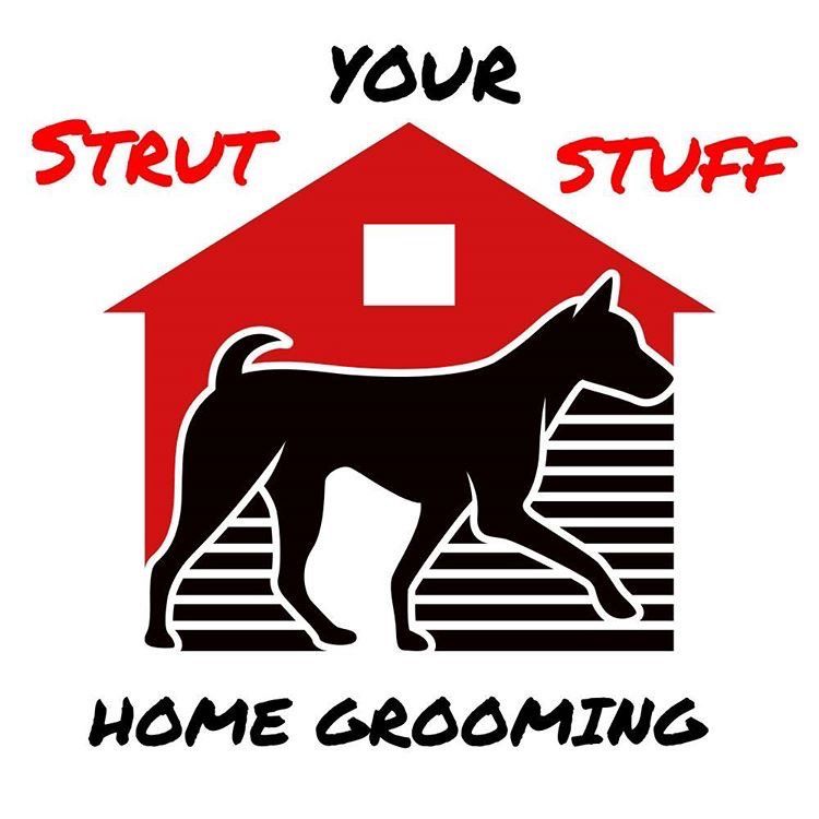 Strut Your Stuff Grooming