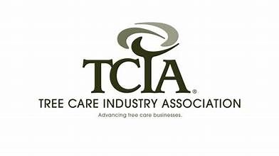 TCIA member