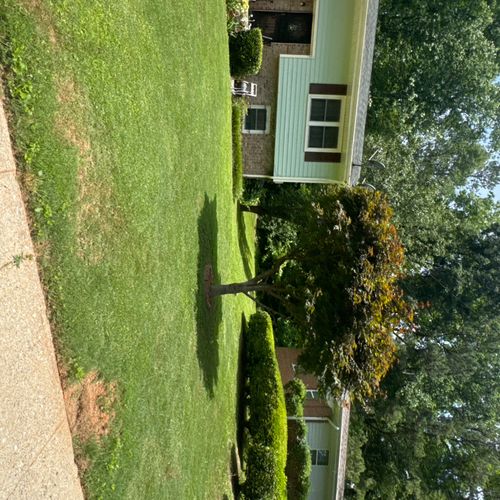 He gave my yard a brand new look at a reasonable p