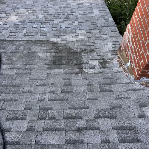 Roof Cleaning