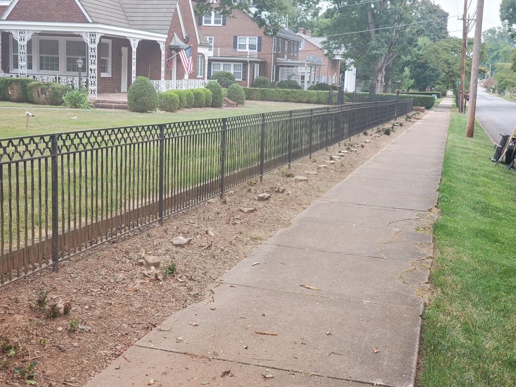 Tree Stump Grinding and Removal