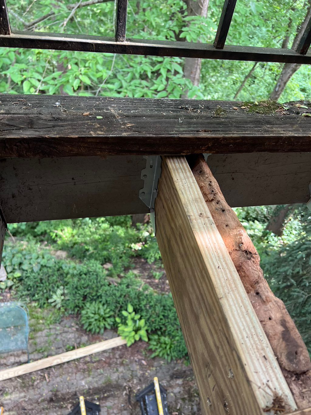 New joists sistered with existing joists after cle