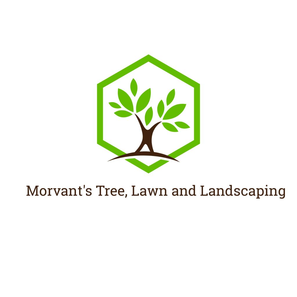 Morvant's Tree, Lawn and Landscaping