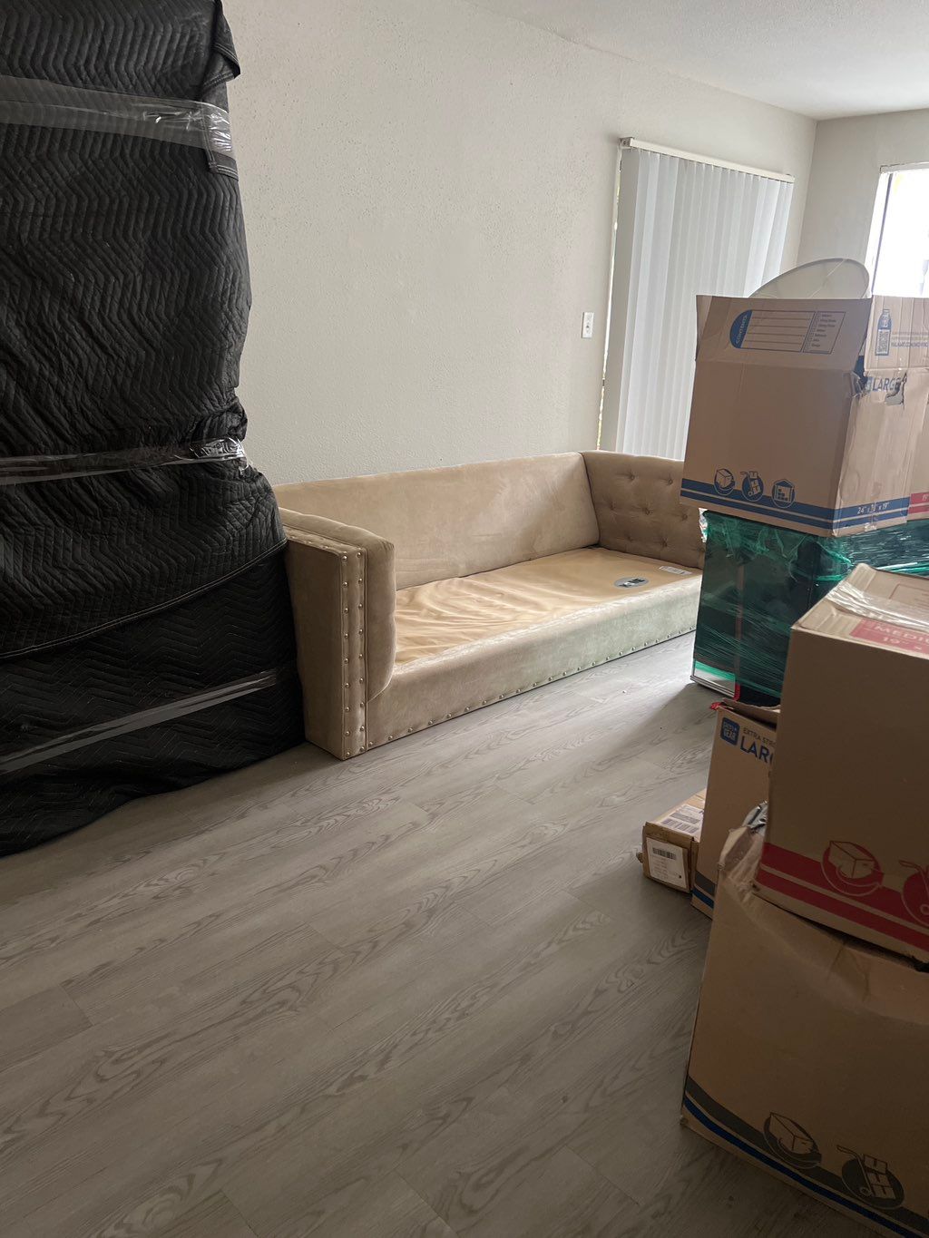 Customer photos