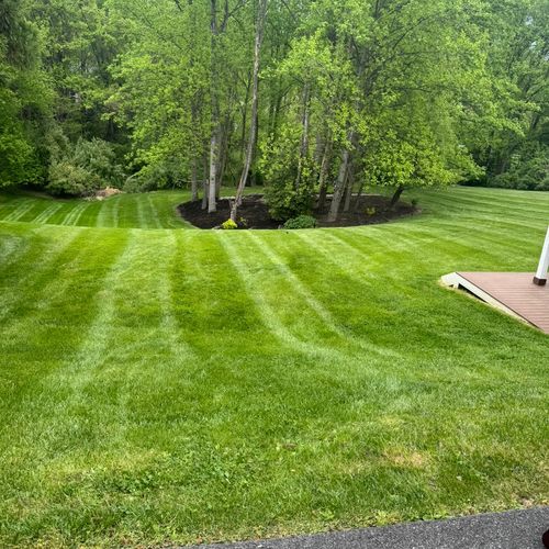 Full Service Lawn Care