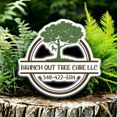 Avatar for Branch Out Tree Care LLC