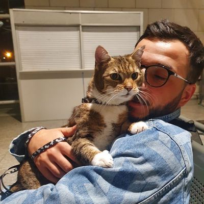 Avatar for Teddy Irbis