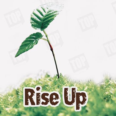 Avatar for Rise Up Co.