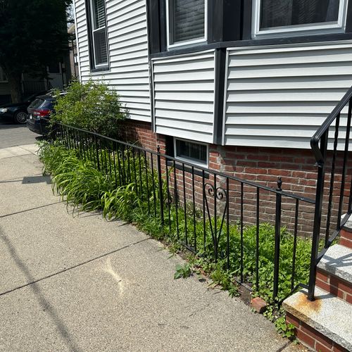 Before - Bed Cleanup + Mulch