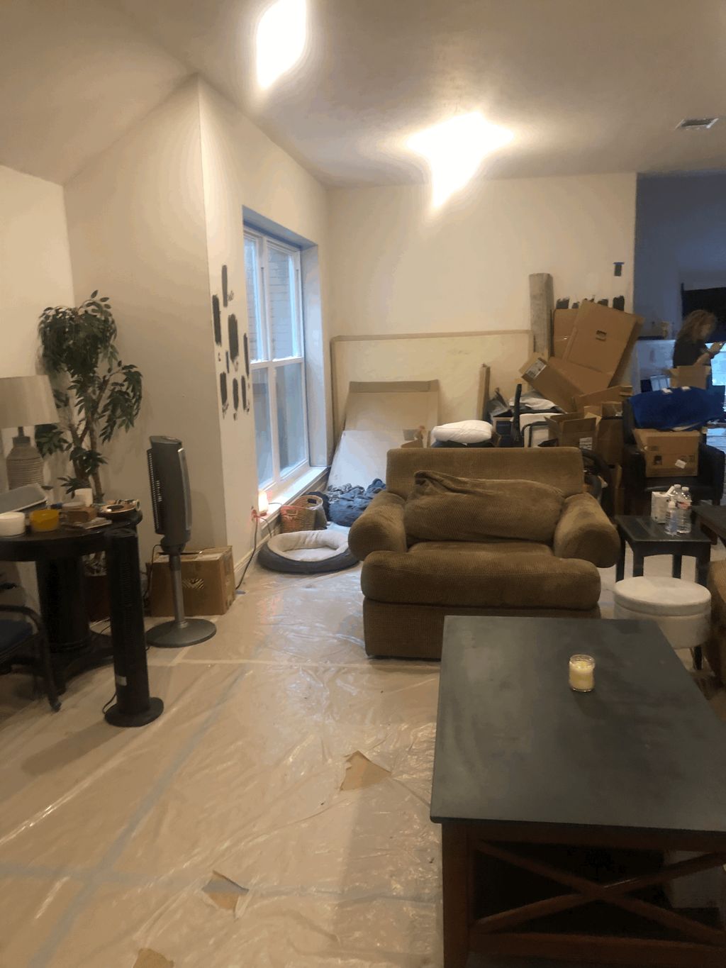 Projects and media