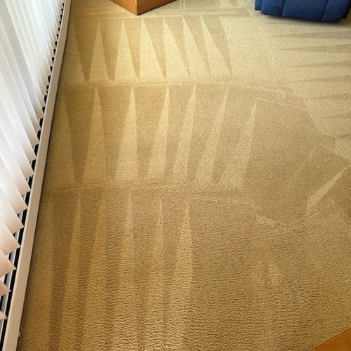 GI Carpet Cleaning exceeded my expectations with t