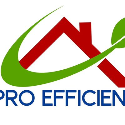 Avatar for Pro Efficiency services